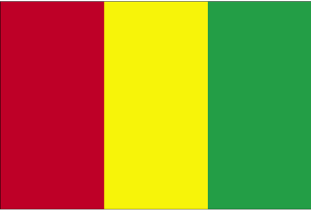 guinee-drapeau