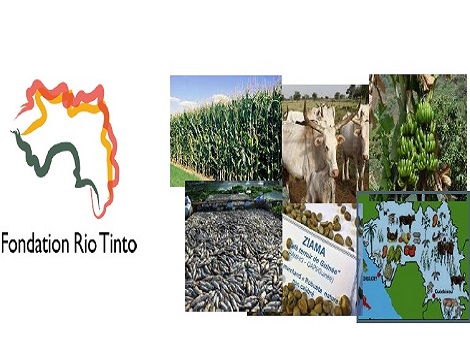 communique_rio_tinto