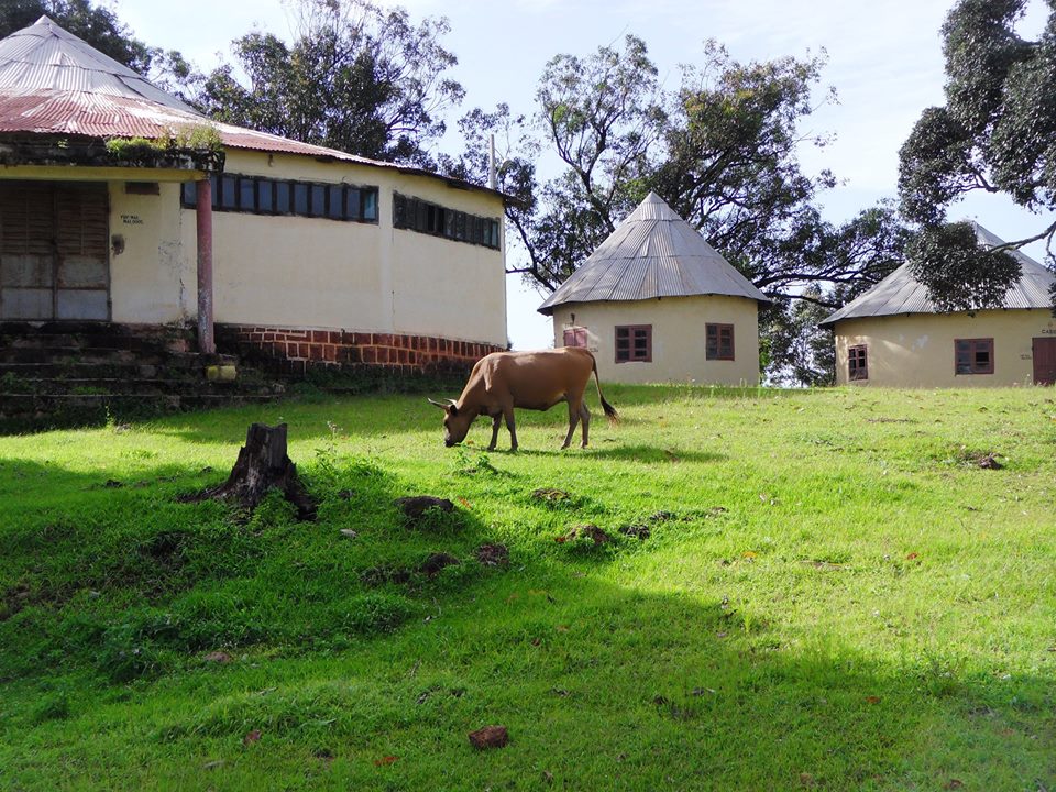 La villa des hôtes dans la préfecture de Mali-Africaguinee.com