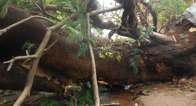 Tornade à Mali