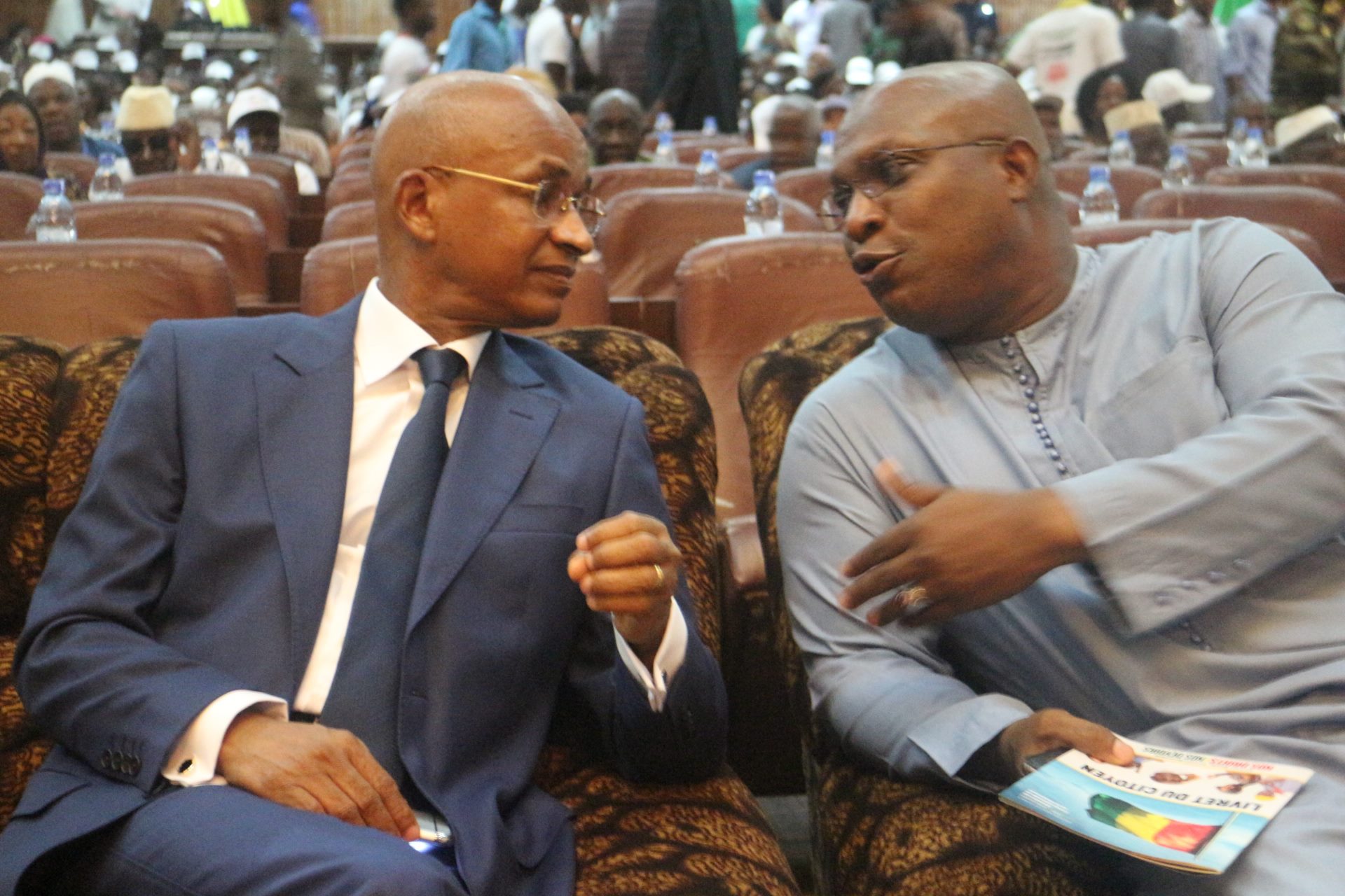 Cellou Dalein Diallo et Kiridi Bangoura