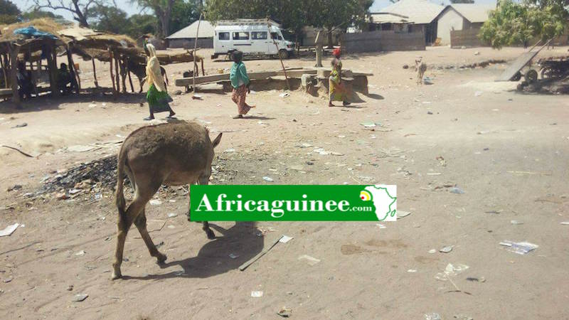 Un village à la frontière entre la Guinée et le Sénégal