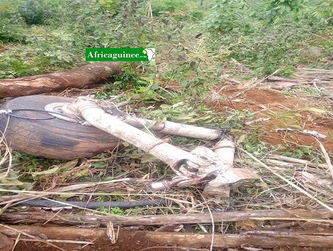 Crash d'un avion à Kindia