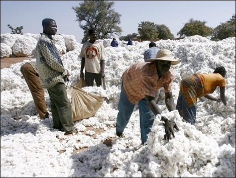 Transformation du coton -image d'archive-