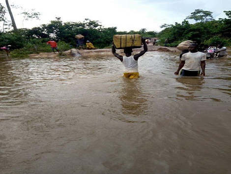 Une rivière à Bossou (Lola)