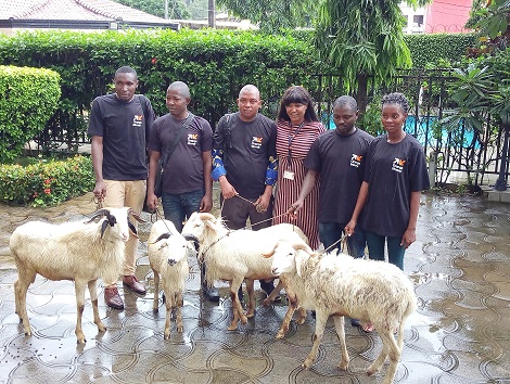 gagnants_des_moutons