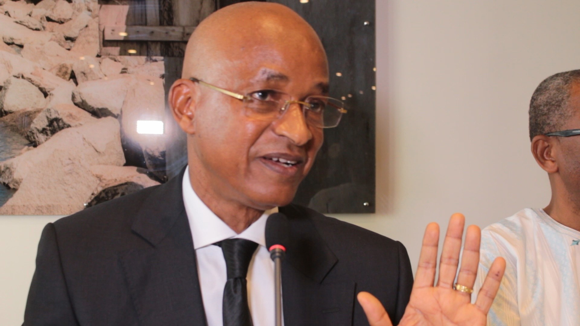 Cellou Dalein Diallo