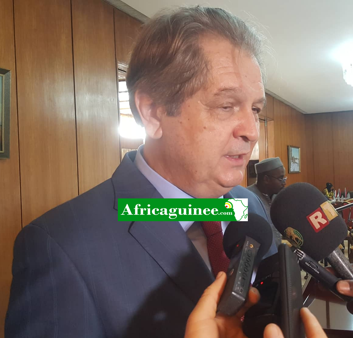Alexandre Bregadze, Ambassadeur de Russie en Guinée