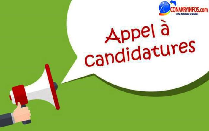 Avis de recrutement