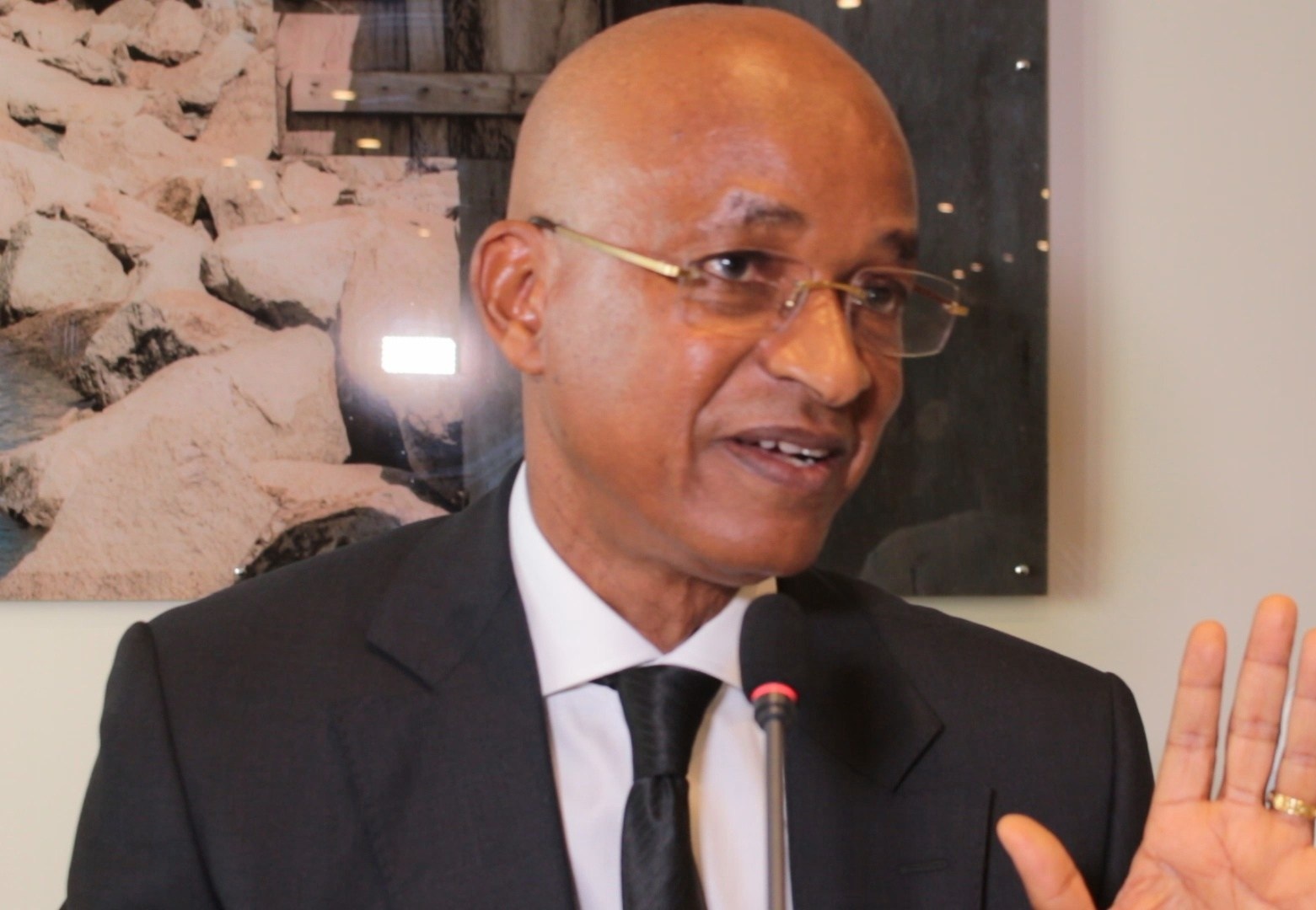 Cellou Dalein Diallo, Chef de file de l'opposition