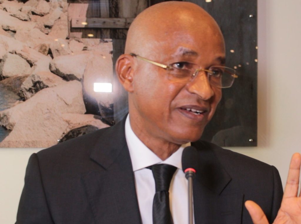 Cellou Dalein Diallo, leader de l'UFDG