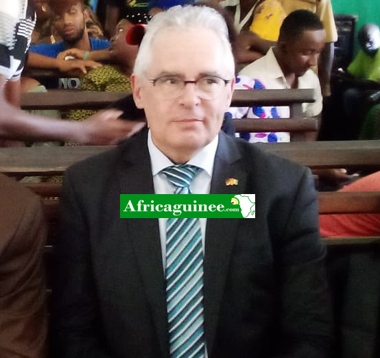 Ulrich Meier-Tesch, Ambassadeur de la République Fédérale d'Allemagne en Guinée