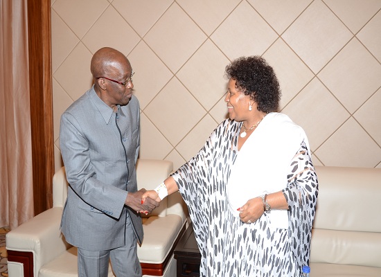 Dr Mohamed Diané et son homologue d’Afrique du Sud, Mme. Nosiviwe Mapisa-Nqakula