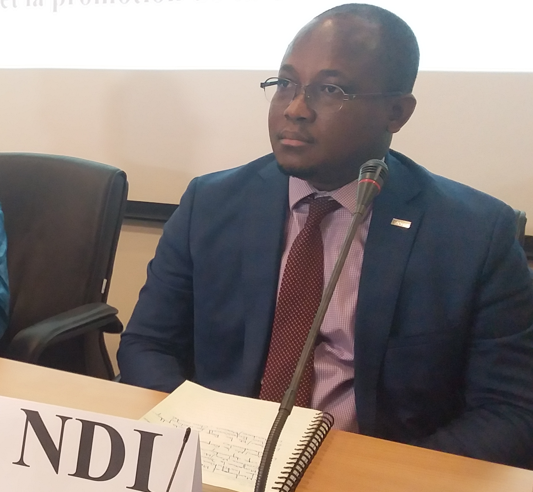 Paul Amegakpo, Représentant de l'ONG "NDI" en Guinée