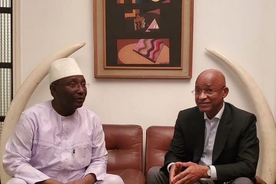 Sidya Touré, leader de l'UFR et Cellou Dalein Diallo, leader de l'UFDG
