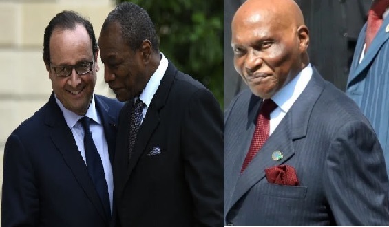 hollande-alpha-wade