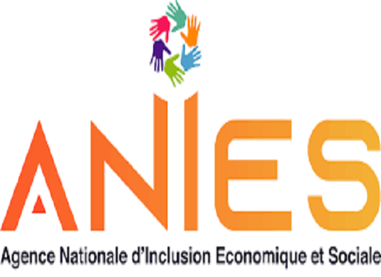 Logo ANIES