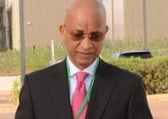 Cellou Dalein Diallo, leader de l'UFDG