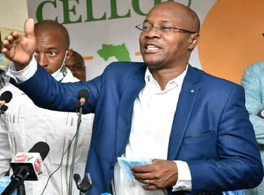 Ousmane Gaoual Diallo, Directeur de la cellule de Communication de l'UFDG