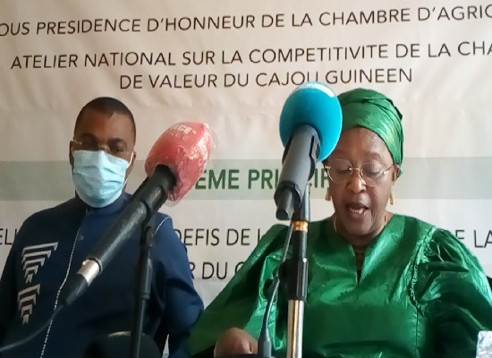 Tenue à Conakry de l’atelier sur la "compétitivité de la chaine de valeur du Cajou guinéen"