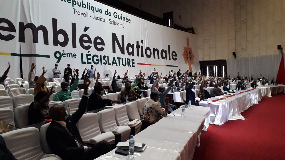 Des députés guinéen à l'hémicycle