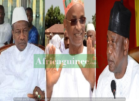 Alpha Condé, président de la République de Guinée, Cellou Dalein Diallo, Amadou Damaro Camara