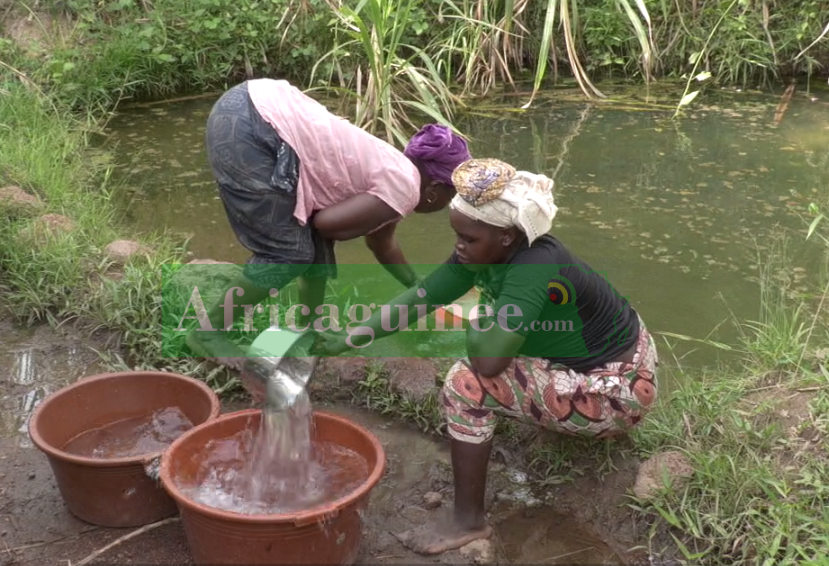 Des femmes puisent de l'eau dans la localité de Gonosamoukadou