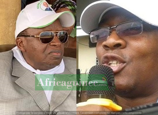 Chérif Bah et Ousmane Gaoual Diallo