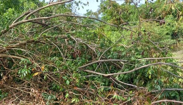 Une tornade fait des dégâts à Mali