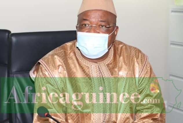 Elhadj Mamadou Sylla, Chef de file de l'opposition guinéenne