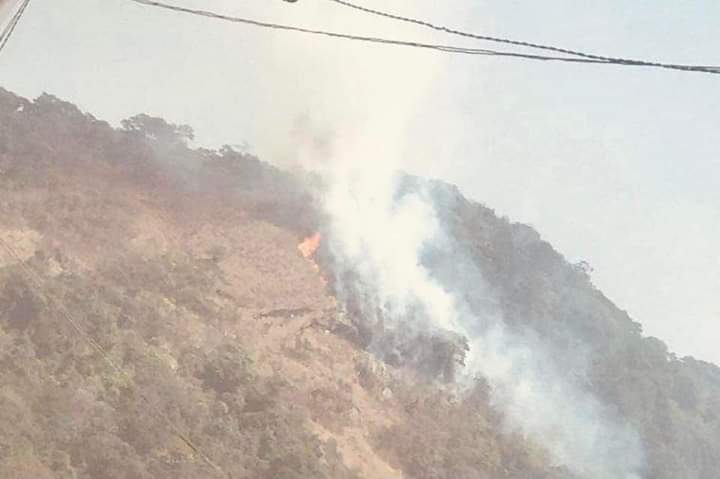 Incendie à la forêt classée de Ziama