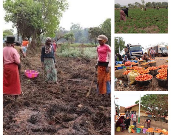 Des productrices agricoles de Soumbalako