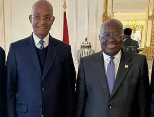 Cellou Dalein Diallo et Nana Akufo Addo